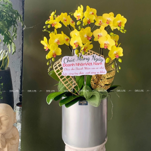 Chậu Lan Hồ Điệp Vàng 6 Cành (Đ6-V1/01)