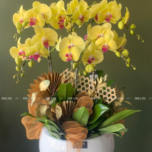 Chậu Lan Hồ Điệp Vàng 6 Cành (Đ6-V1/03)