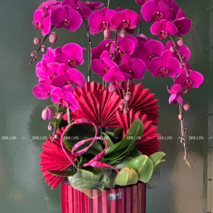 Chậu Lan Hồ Điệp Tím 6 Cành (Đ6-TI1/01)