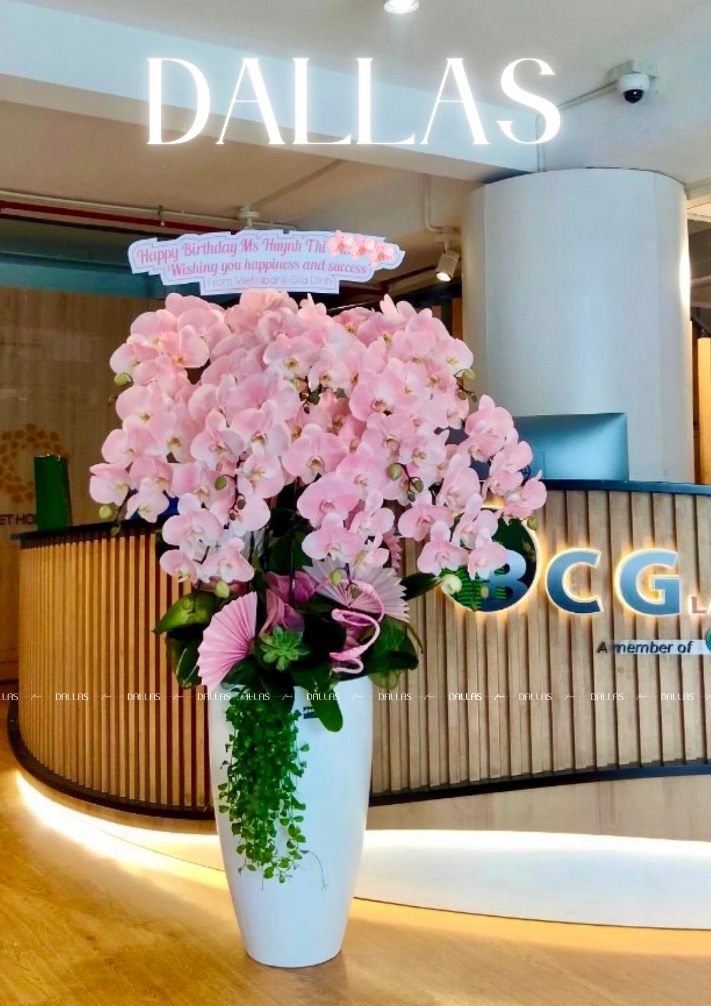 Vietinbank - Chậu Lan Hồ Điệp Màu Hồng Pastel, Món Quà Độc Đáo Sinh Nhật Đối Tác