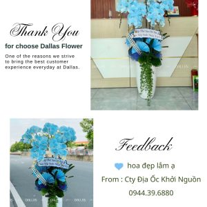 Chậu Lan Hồ Điệp Màu Xanh Dương 6 Cành (Đ6-NX1/03)