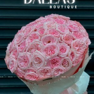 Bó Hoa Hồng Ohara Hồng 55 Bông (B12-55)