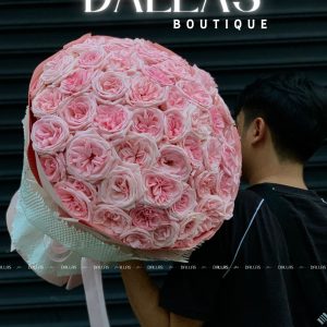 Bó Hoa Hồng Ohara Hồng 55 Bông (B12-55)