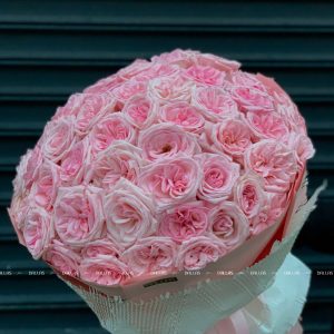 Bó Hoa Hồng Ohara Hồng 55 Bông (B12-55)