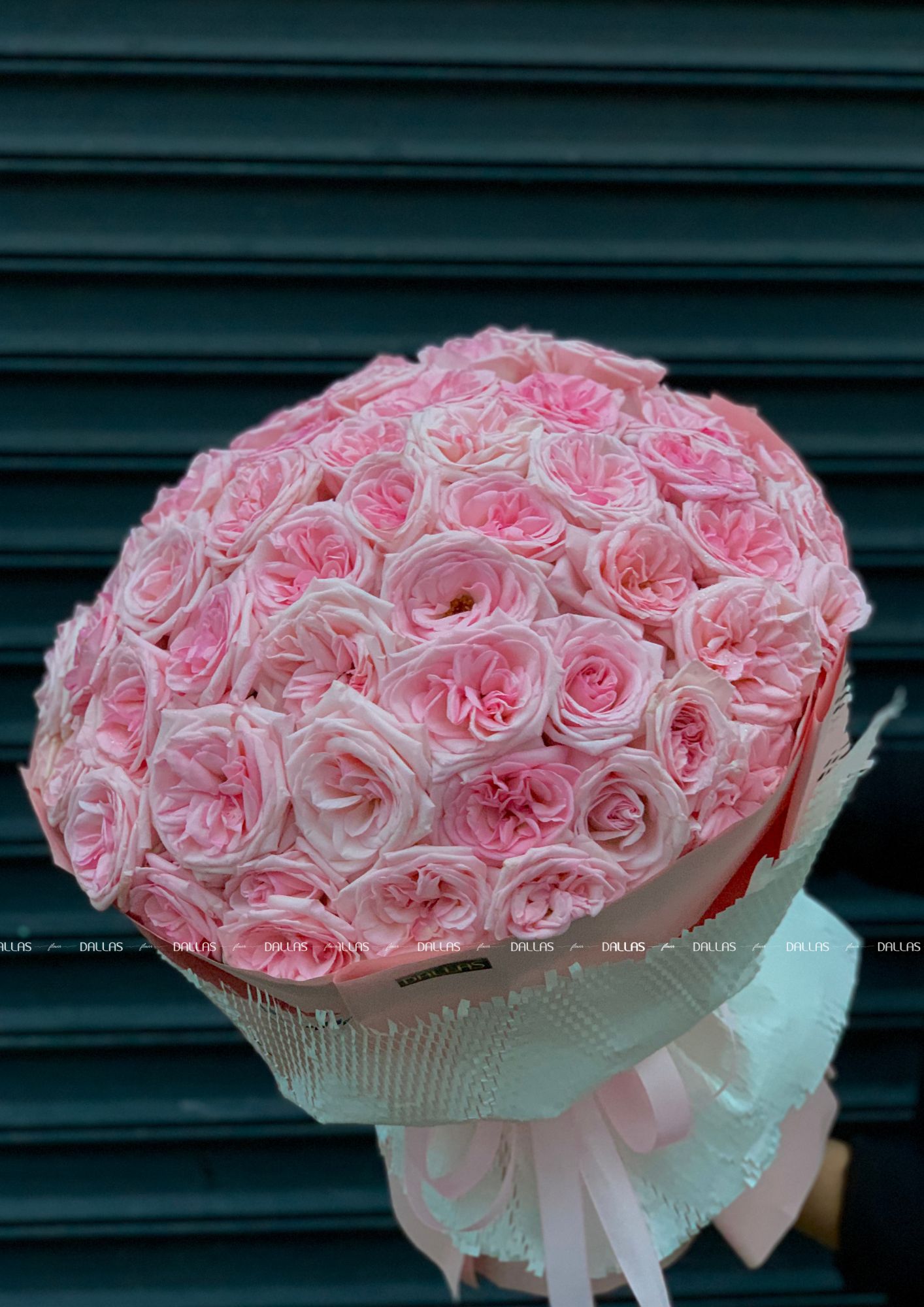 Bó Hoa Hồng Ohara Hồng 55 Bông (B12-55) Bó Hoa Hồng Ohara Hồng 55 Bông (B12-55)