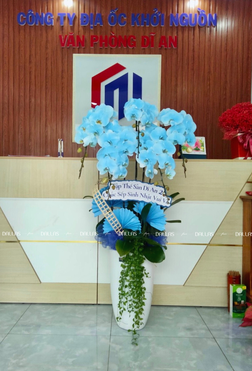 Chậu Lan Hồ Điệp Màu Xanh Dương 6 Cành (Đ6-NX1/03) Chậu Lan Hồ Điệp Màu Xanh Dương 6 Cành (Đ6-NX1/03)