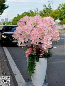 Vietinbank - Chậu Lan Hồ Điệp Màu Hồng Pastel, Món Quà Độc Đáo Sinh Nhật Đối Tác