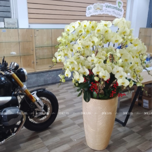 Chậu Lan Hồ Điệp Xanh Táo 20 Cành (Đ20-XT1/03/C)