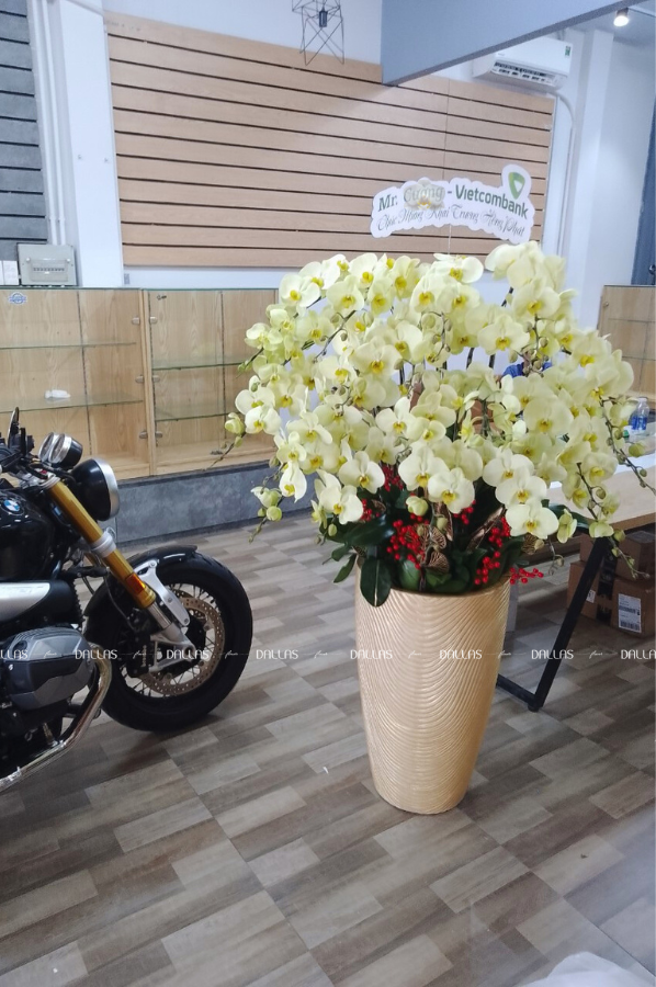 Chậu Lan Hồ Điệp Xanh Táo 20 Cành (Đ20-XT1/03/C)