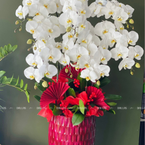 Chậu Lan Hồ Điệp Trắng 8 Cành (Đ8-TR1/01/C)