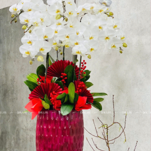 Chậu Lan Hồ Điệp Trắng 8 Cành (Đ8-TR1/01/C)