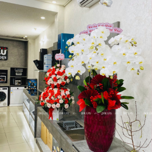 Chậu Lan Hồ Điệp Trắng 8 Cành (Đ8-TR1/01/C)