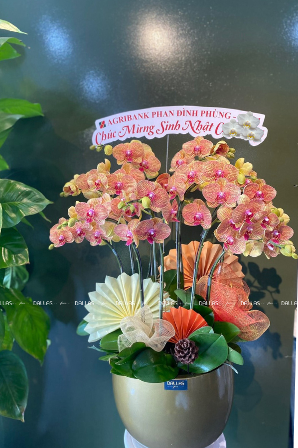 Chậu Lan Hồ Điệp Cam Sọc 10 Cành Đôi (Đ5-C2/04) Chậu Lan Hồ Điệp Cam Sọc 10 Cành Đôi (Đ5-C2/04)