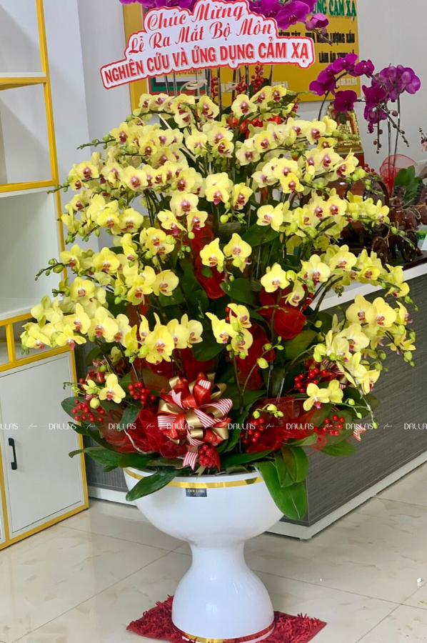 Chậu Lan Hồ Điệp Vàng 50 Cành (Đ50-V1/03/C) Chậu Lan Hồ Điệp Vàng 50 Cành (Đ50-V1/03/C)