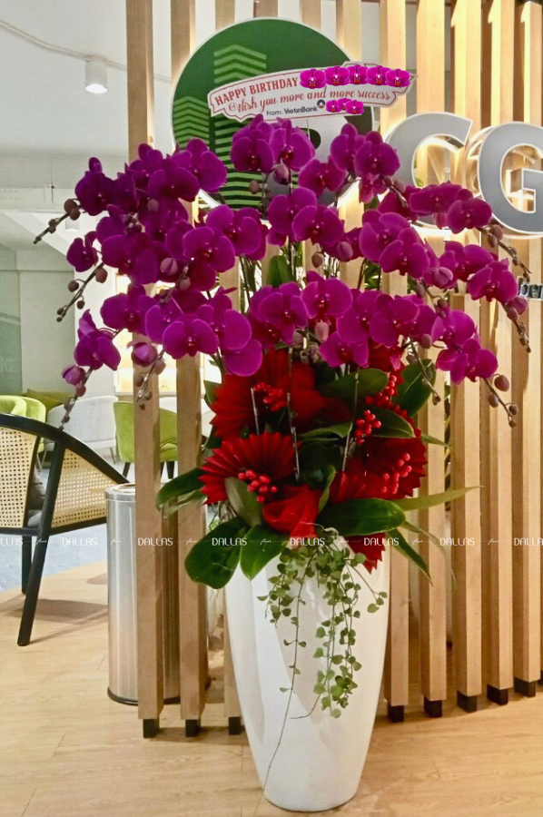 Chậu Lan Hồ Điệp Tím 20 Cành (Đ20-TI1/02/C)