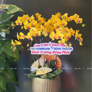 Chậu Lan Hồ Điệp Vàng 10 Cành Đôi (Đ5-V2/02)