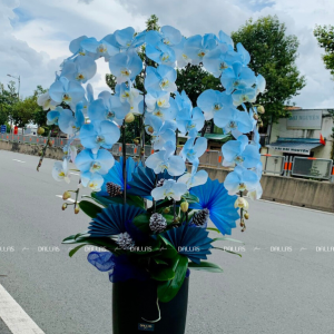 Chậu Lan Hồ Điệp Phun Màu - Xanh Dương 6 Cành (Đ6-NX1/03)