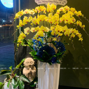 Chậu Lan Hồ Điệp Vàng 15 Cành (Đ15- V1/01/C)