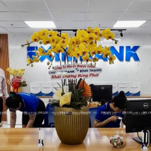 Chậu Lan Hồ Điệp Vàng 10 Cành Đôi (Đ5-V2/02)