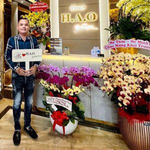 Chậu Lan Hồ Điệp Vàng 20 Cành (Đ20-V1/01/C)