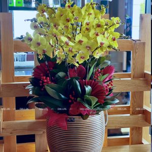 Chậu Lan Hồ Điệp Vàng 20 Cành (Đ20-V1/02/C)