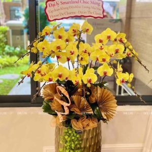 Chậu Lan Hồ Điệp Vàng 10 Cành (Đ12-V1/01/C)