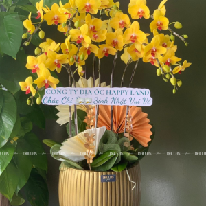 Chậu Lan Hồ Điệp Vàng 8 Cành Đôi (Đ4-V2/04)