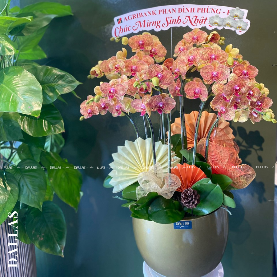 Bản sao của Song Lan (10)