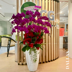 Chậu Lan Hồ Điệp Tím 20 Cành (Đ20-TI1/02/C)