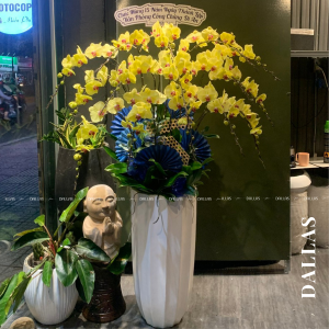 Chậu Lan Hồ Điệp Vàng 15 Cành (Đ15- V1/01/C)