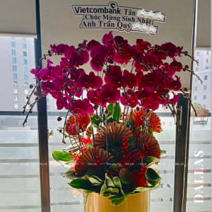 Chậu Lan Hồ Điệp Tím 20 Cành (Đ20-TI1/01/C)