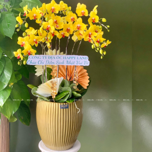 Chậu Lan Hồ Điệp Vàng 8 Cành Đôi (Đ4-V2/04)