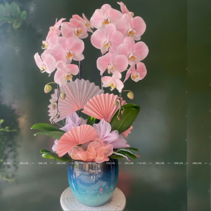 Chậu Lan Hồ Điệp Hồng Pastel Signature 2 Cành (Đ2-NH1/04) Chậu Lan Hồ Điệp Hồng Pastel Signature 2 Cành (Đ2-NH1/04)