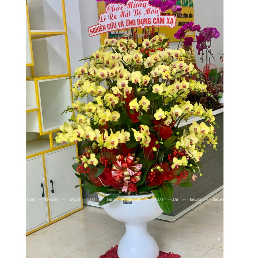 Chậu Lan Hồ Điệp Vàng 50 Cành (Đ50-V1/03/C) Chậu Lan Hồ Điệp Vàng 50 Cành (Đ50-V1/03/C)