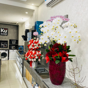 Chậu Lan Hồ Điệp Trắng 8 Cành (Đ8-TR1/01/C)