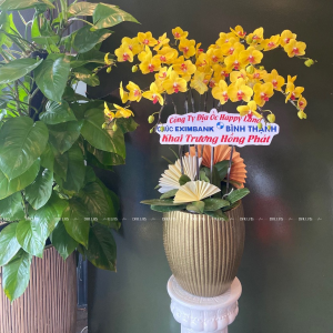 Chậu Lan Hồ Điệp Vàng 10 Cành Đôi (Đ5-V2/02)