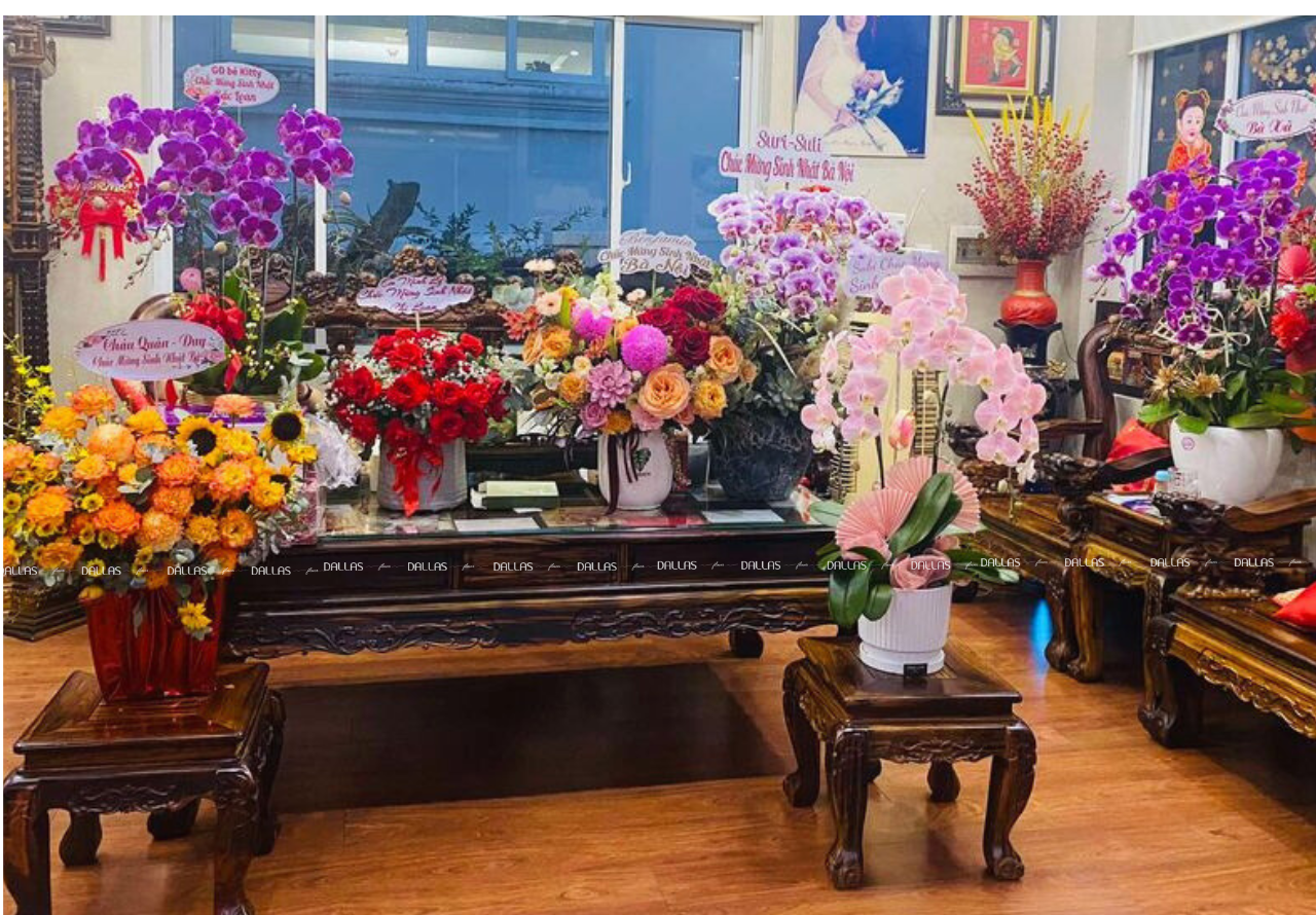 Chậu Lan Hồ Điệp Hồng Pastel 3 Cành (Đ3-NH1/03) Chậu Lan Hồ Điệp Hồng Pastel 3 Cành (Đ3-NH1/03)