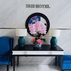 Chậu Lan Hồ Điệp Hồng Pastel Signature 3 Cành (Đ3-NH1/04)