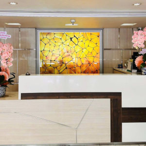 Chậu Lan Hồ Điệp Hồng Pastel Signature 3 Cành (Đ3-NH1/04)