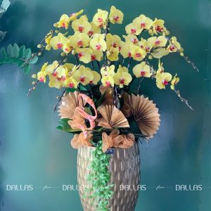 Chậu Lan Hồ Điệp Vàng 10 Cành (Đ12-V1/01/C)