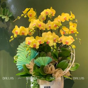 Chậu Lan Hồ Điệp Vàng 10 Cành (Đ10-V1/29)