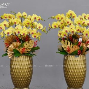 Chậu Lan Hồ Điệp Vàng 10 Cành (Đ10-V1/01/C)