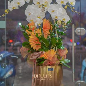 Chậu Lan Hồ Điệp Trắng 5 Cành (T5-N24/01)