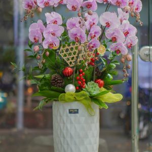 Chậu Lan Hồ Điệp Trắng 6 Cành (T5-N24/03)