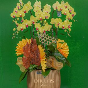 Chậu Lan Vàng Phối Lũa 6 Cành (T5-N26/02)