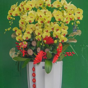 Chậu Lan Hồ Điệp Vàng 11 Cành (T5-N26/04)