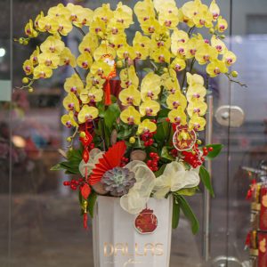 Chậu Lan Hồ Điệp Vàng 11 Cành (T5-N26/05)