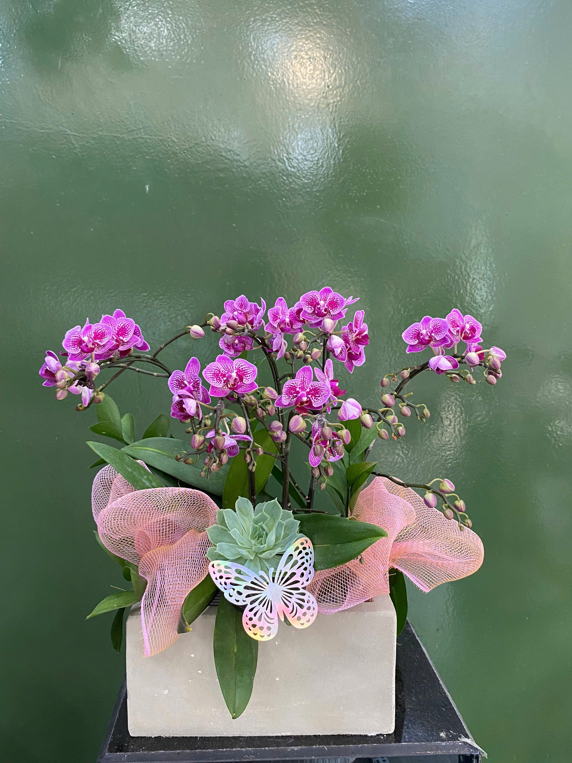 z6369746841141_dd4a9f69b9435f95fb20bd70a7a80e7b