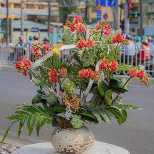 Chậu Lan Hồ Điệp Mini Cam (T5-N27/021)