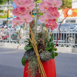 Chậu Lan Phun Pastel 2 Cành (T5-C26/15)